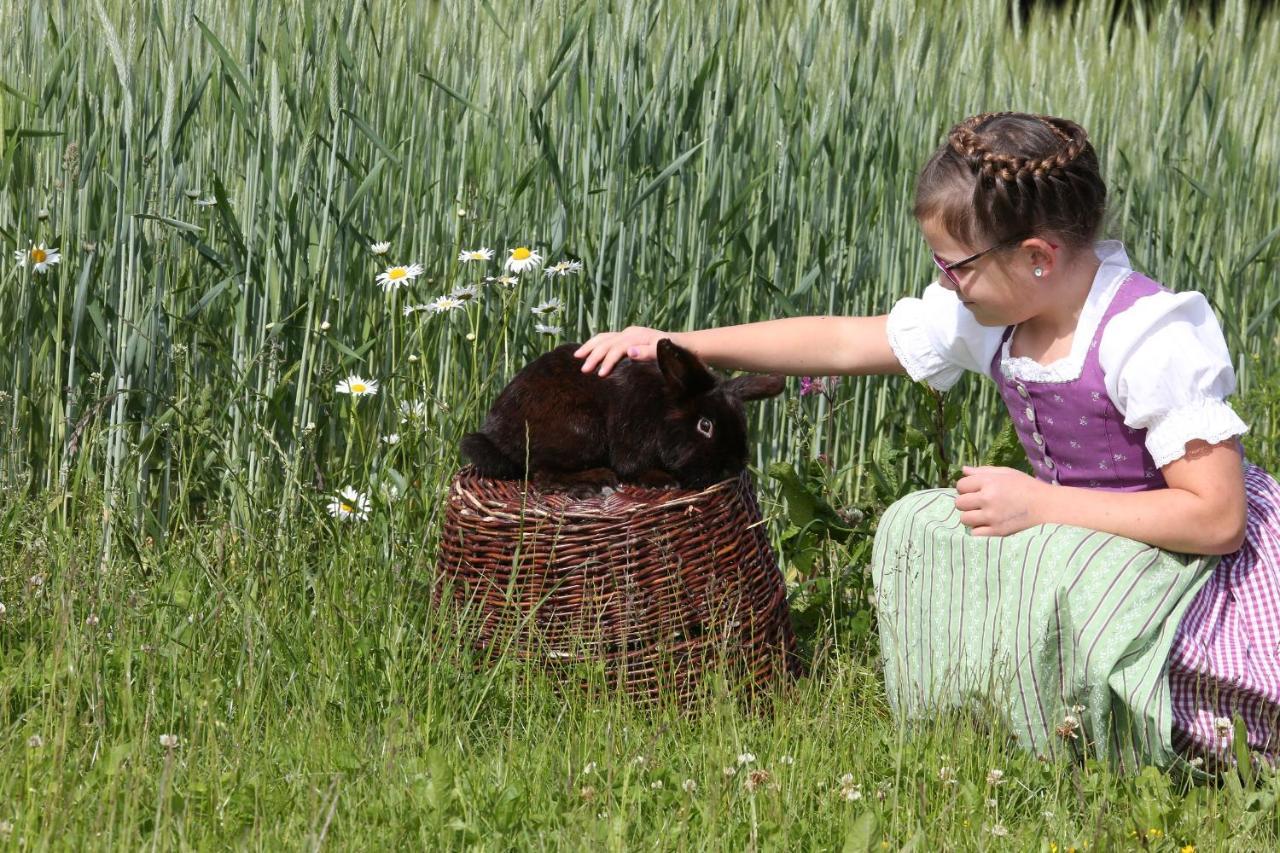 Beim Lenglacher Chieming Exteriér fotografie